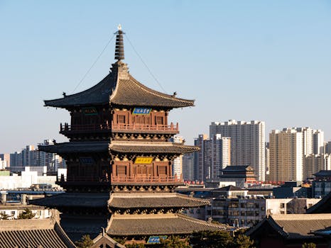 From Ancient Rituals to Modern Thrills: The Evolving Social History of Gambling