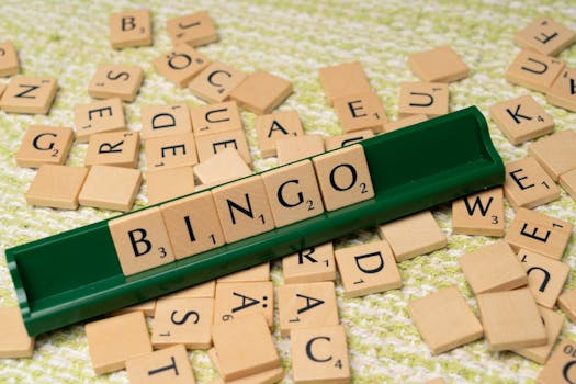 Exploring Bingo: More Than a Game, a Mirror to Society's Dynamics